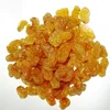 raisin tree extract