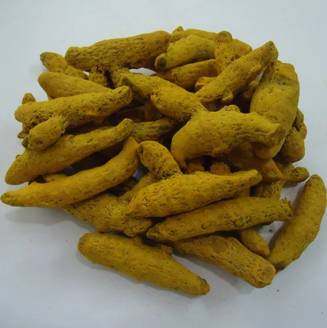
Best Natural Dry and Raw Turmeric fingers High Quality From India 