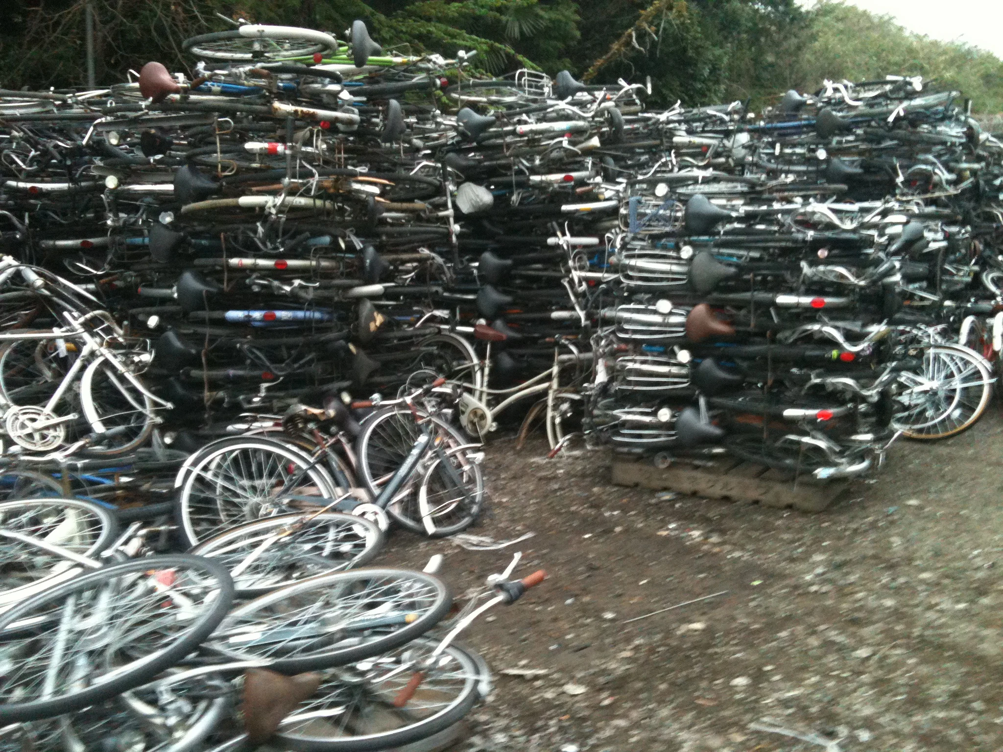Used Japanese Bikes For Sale Outlet