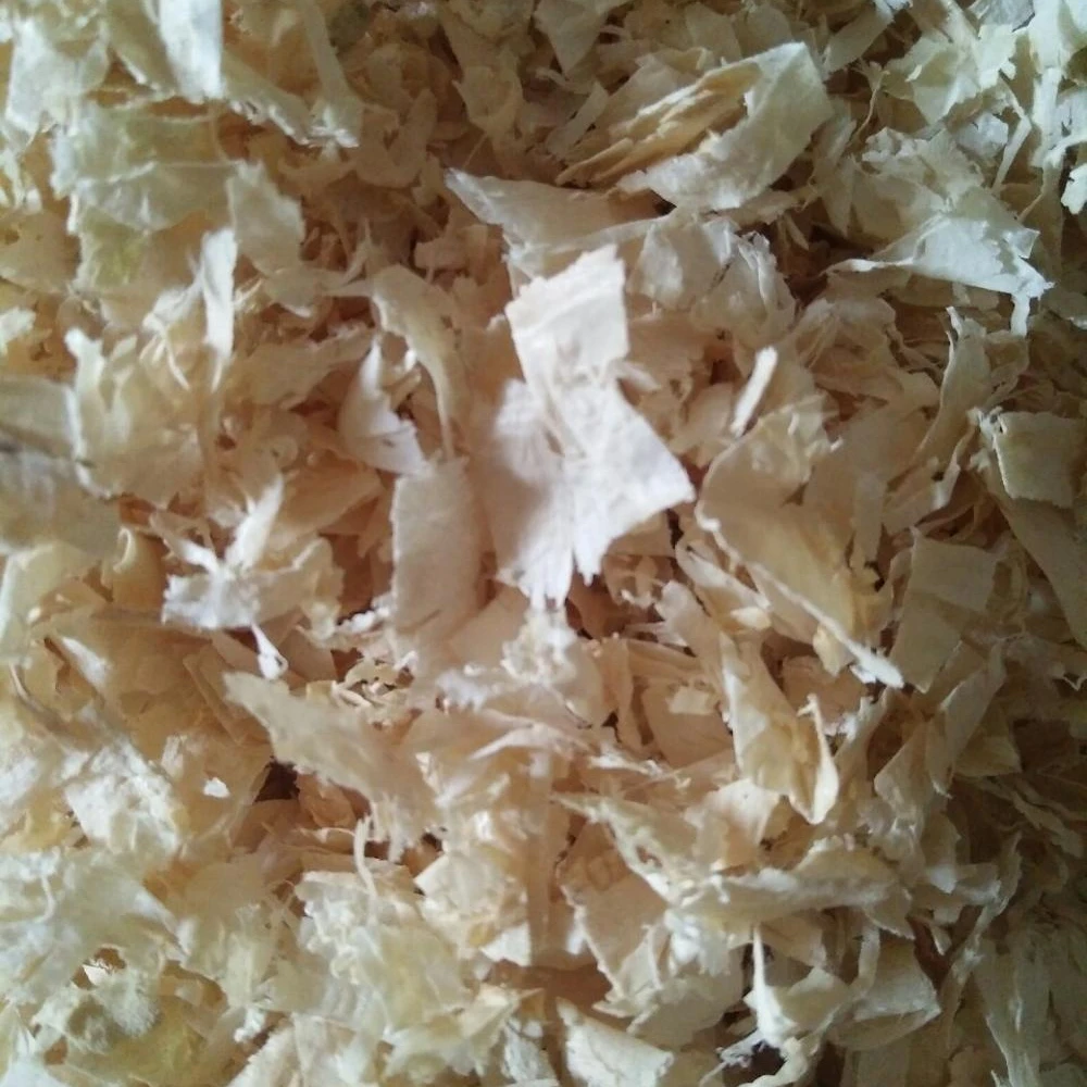 wood shavings 4.jpg