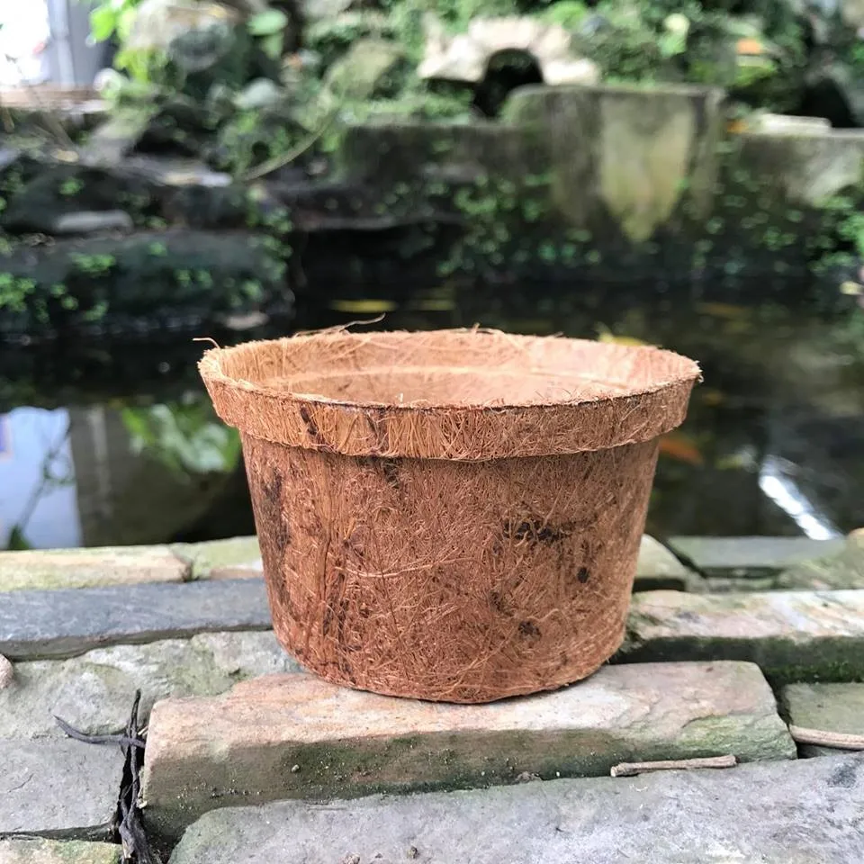 Biodegradable Cultivation Coconut Coir Pot Made In Vietnam Buy Flower
