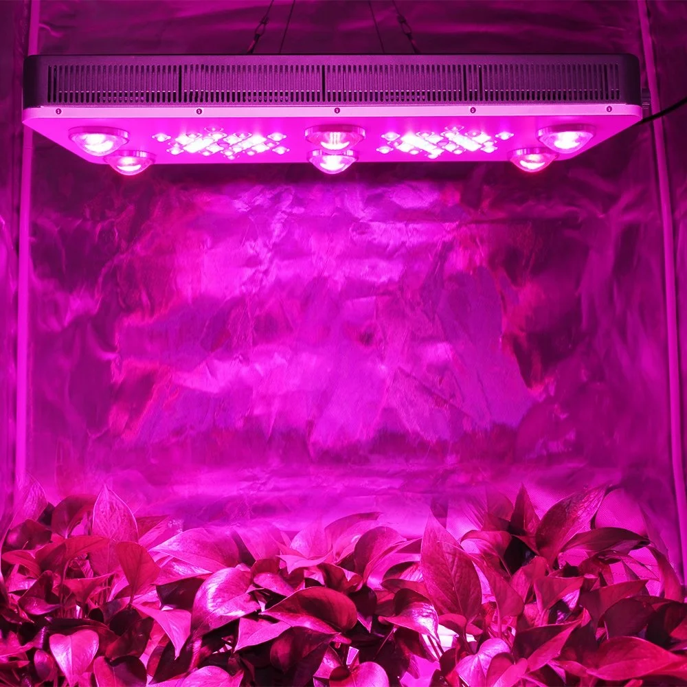 

US Warehouse US Free Shipping Tariff Free 850w cob full spectrum 3 Dimmers UV IR Seedling Veg Bloom Hydroponic led grow lights