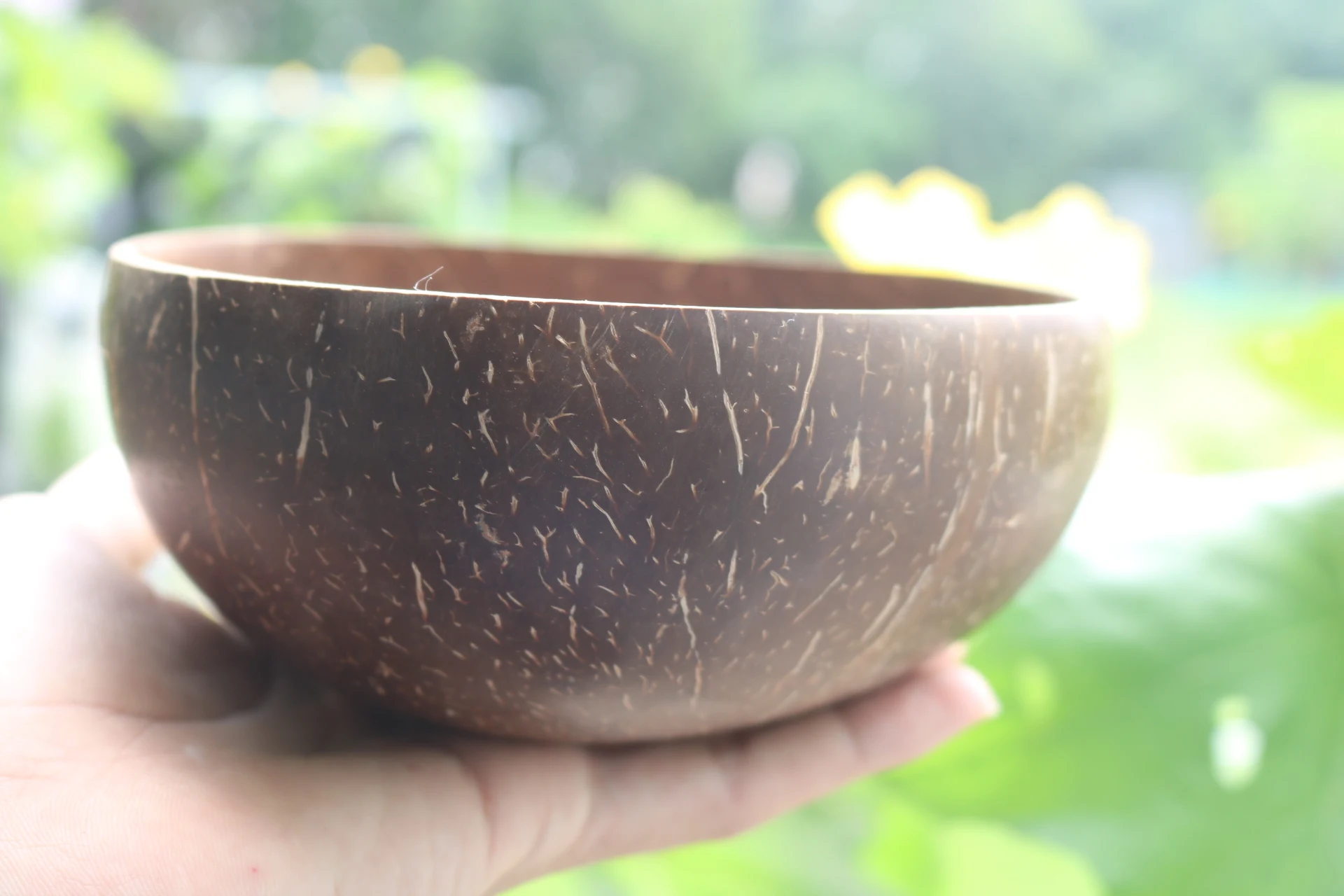 Big Big Supply Coconut Shell Bowl With Very Good Price For Eu Market