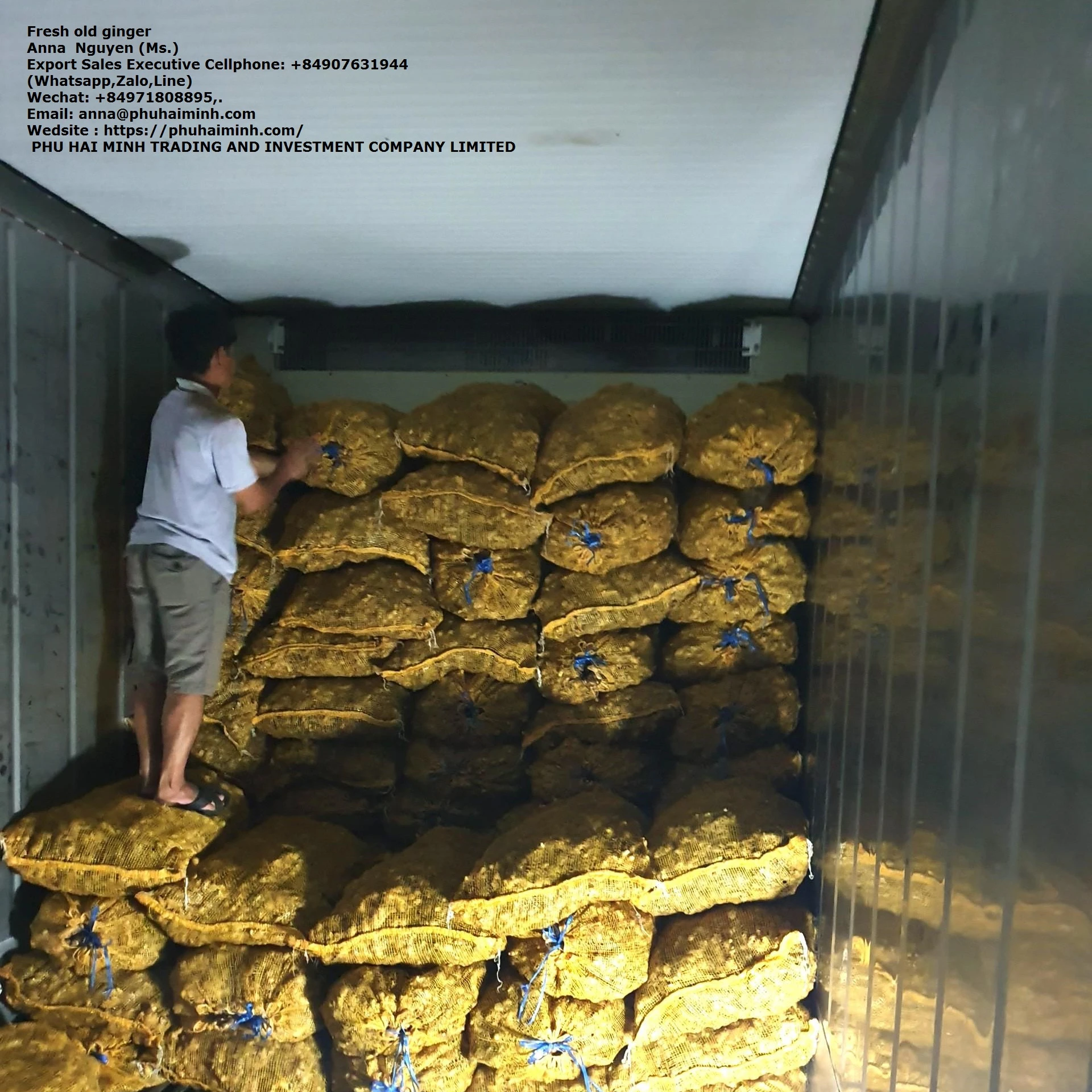 新鲜老姜具有竞争力的价格的富海minh贸易和投资有限公司 越南 Buy 鲜姜 生姜供应越南制造商 鲜姜从越南product On Alibaba Com
