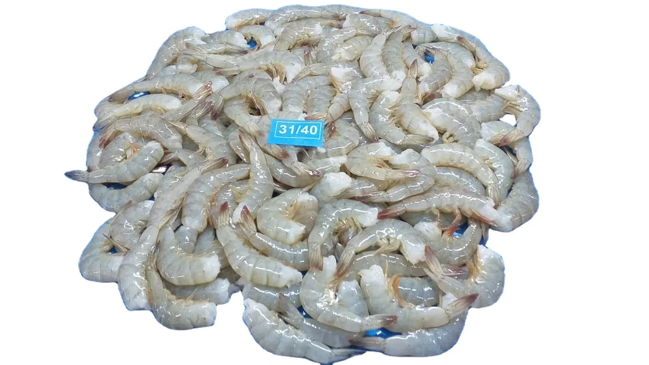 Vannamei Shrimps  Head Less Shell On ( HLSO ) 2.jpg