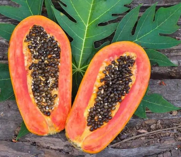 
Papaya Seeds 