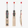 International Cricket High Quality Selective Willow Cricket Bat
