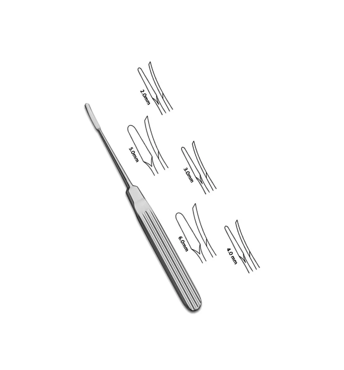 Elevators And Raspatories Instruments Lempert Raspatory 17cm Delicate