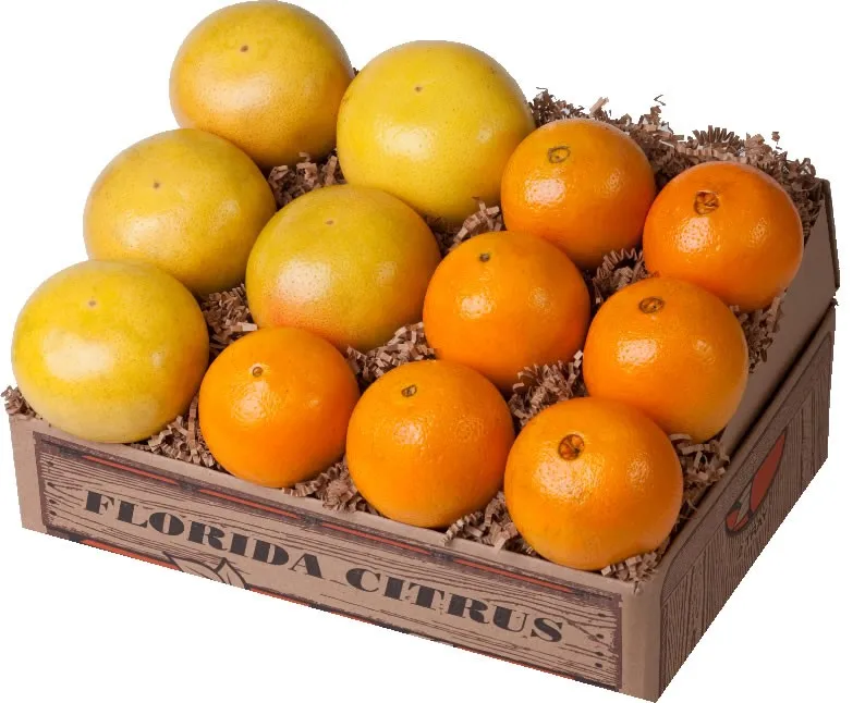 fresh navel orange /japanese hybrid orange