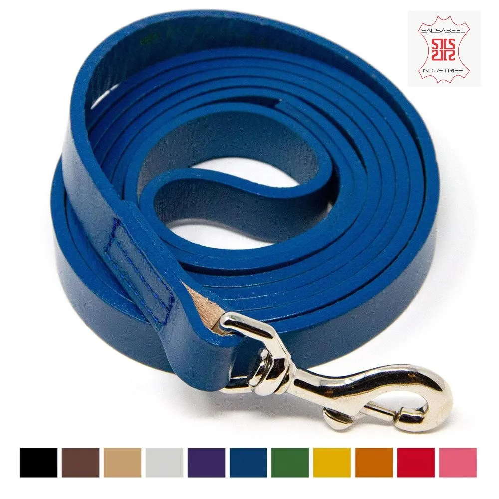 High End Pvc Coated Nylon bing Dogs Application Waterproof Dog Leash