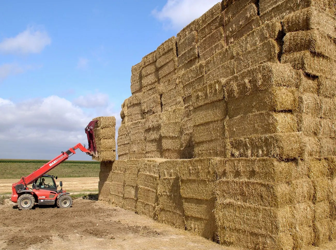 
Premium Quality Peanut Straw Hay For Animal Feed / Peanut Straw For Cattle Forage Best Straw Hay From Pakistan 