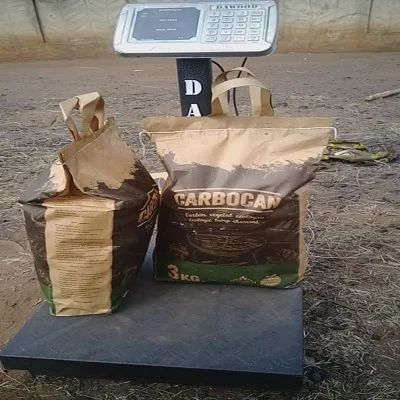 charcoal bag 2.jpg