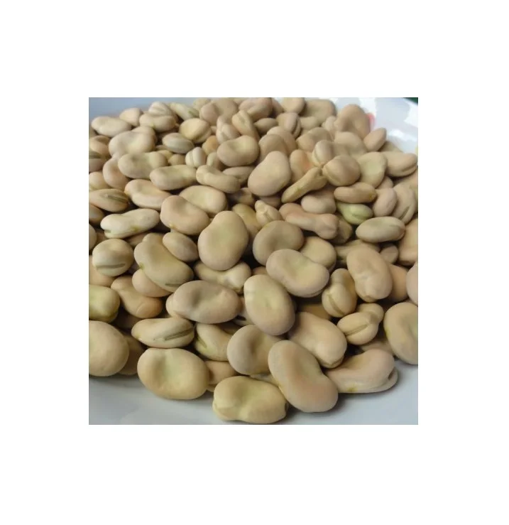 Dried broad beans.jpg