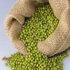 Green Mung / Green Gram /Moong Dal / Vigna Beans.