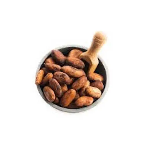 COCOA BEAN 5.jpeg