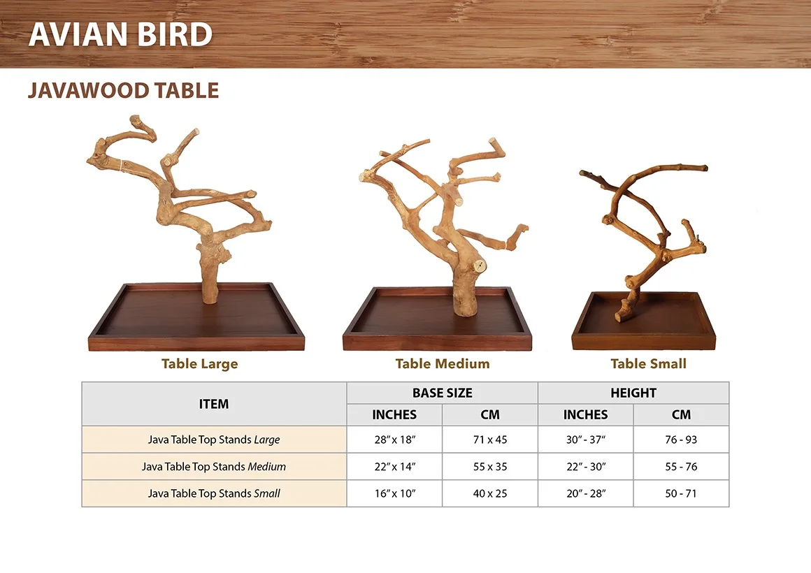 Java Wood Parrot Tree Bird Stand Wooden Perch Play Stand Feeding