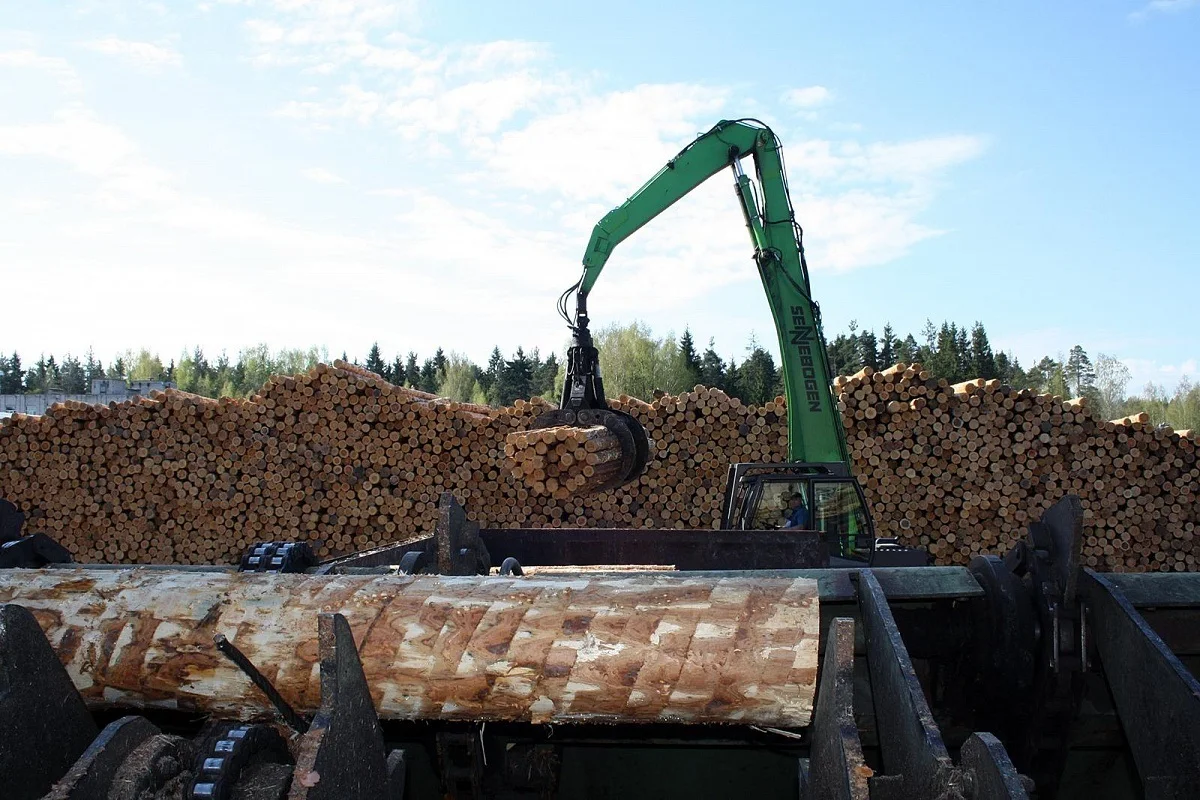 Edged Oak Lumbers Oak Timber / Lumber / Wood / Sawn Boards For Sale