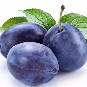 fresh black plums from south africa