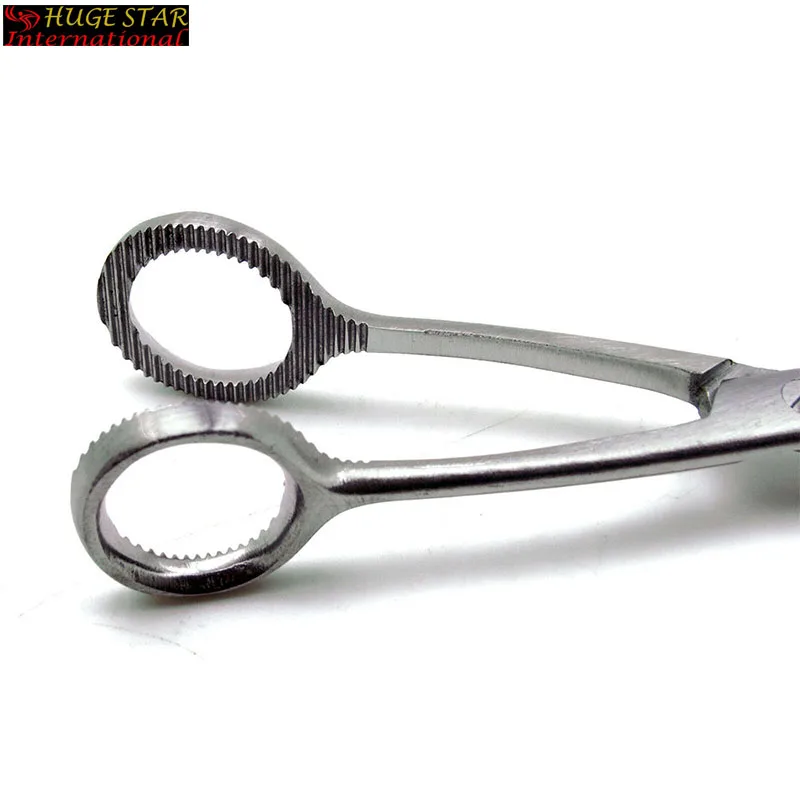 
Surgical Collins Tongue Seizing Forceps 6.5 Jaws Wide/Laboratory Forceps 