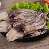 head squid Wholesale High quality frozen seafood
