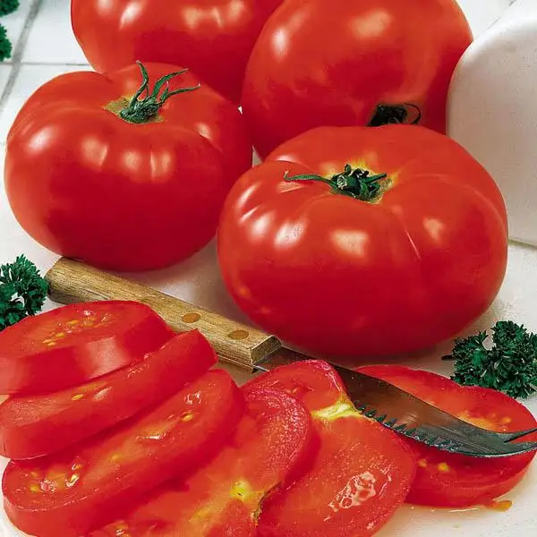 
HYBRID TOMATO TO-71 SEEDS 