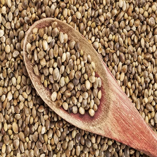 buy 99% pure raw hemp seed and supply all kinds of chia seeds