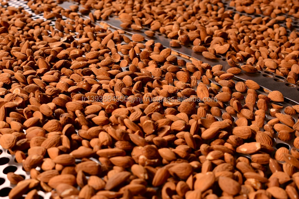 Almond Nuts.jpg