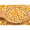 Fresh Organic Yellow Corn/Maize seeds...Great Prices-.....Fast Shipping!!!