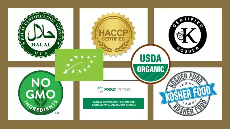 paste-pic-dp_uuid_4m3rv