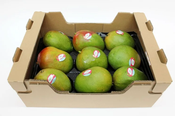 mango pack 2.jpg