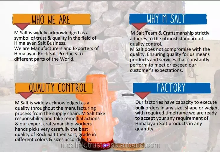 COMPANY INTRODUCTION 01.jpg