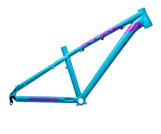 

OEM ODM DJ KING mtb mountainbike frame 27.5 inch
