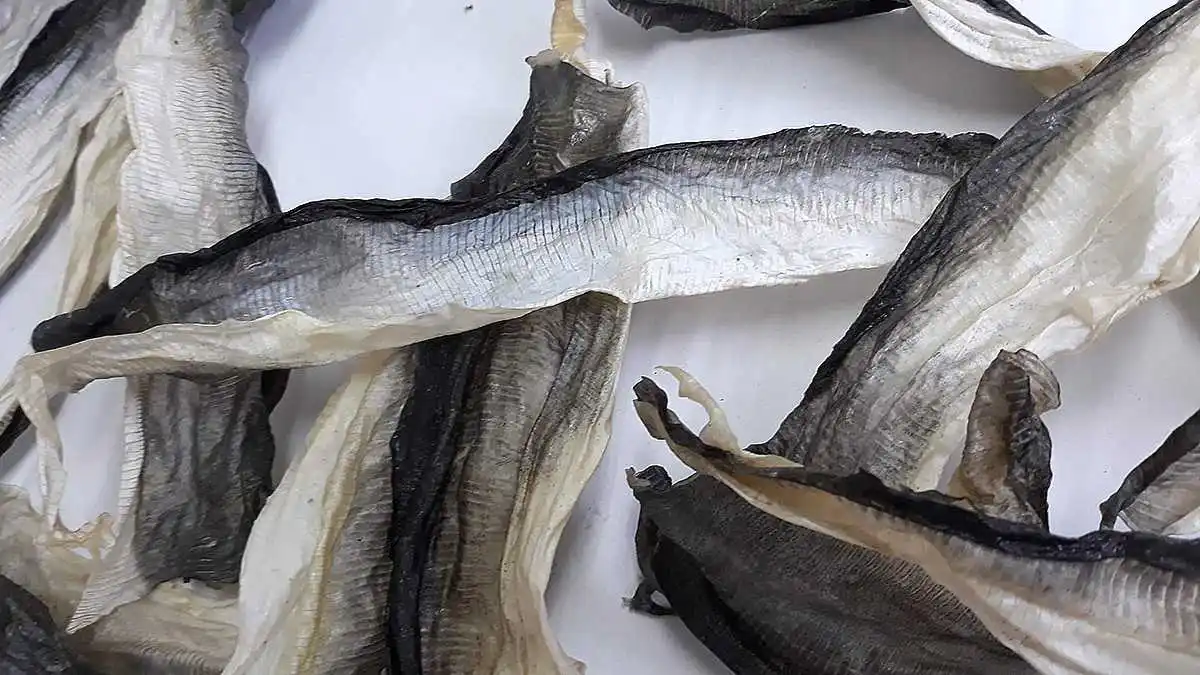 is basa fish good for dogs