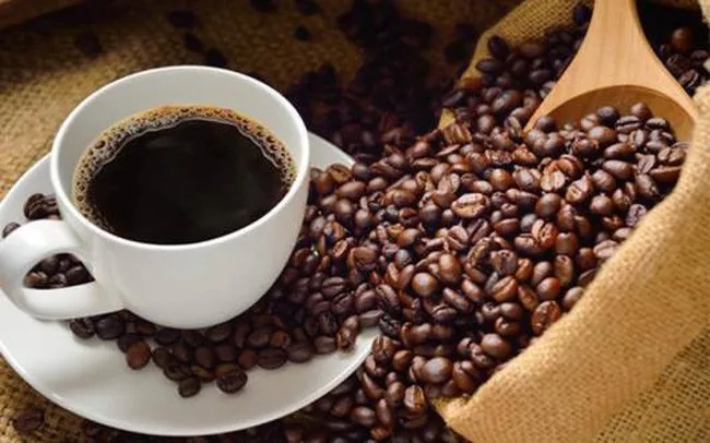 
Wholesale Vietnamese Manufacturer High Quality Robusta Coffee Bean 