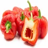 Preium Quality frozen red bell pepper