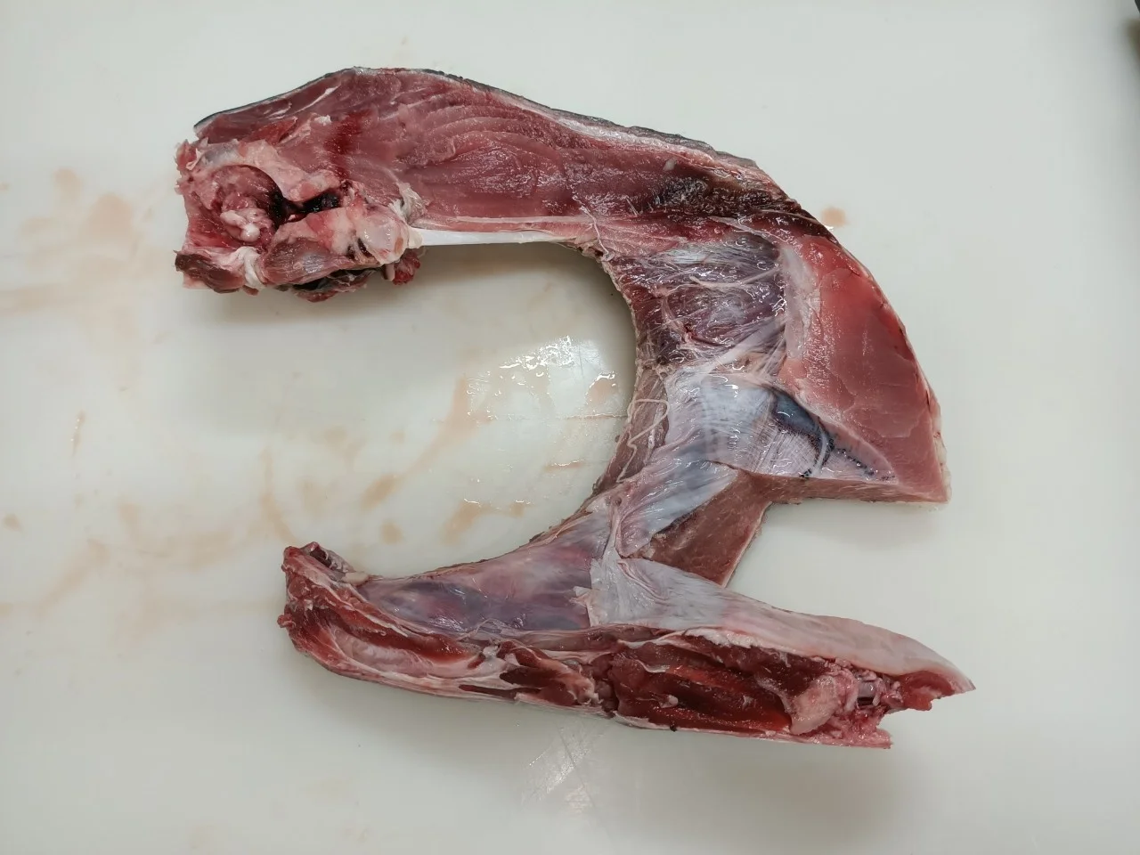 
Wholesale IQF yellowfin frozen Tuna Jaw for BBQ 