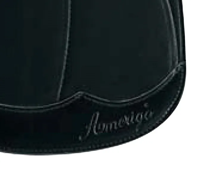 
Amerigo dressage Saddle 