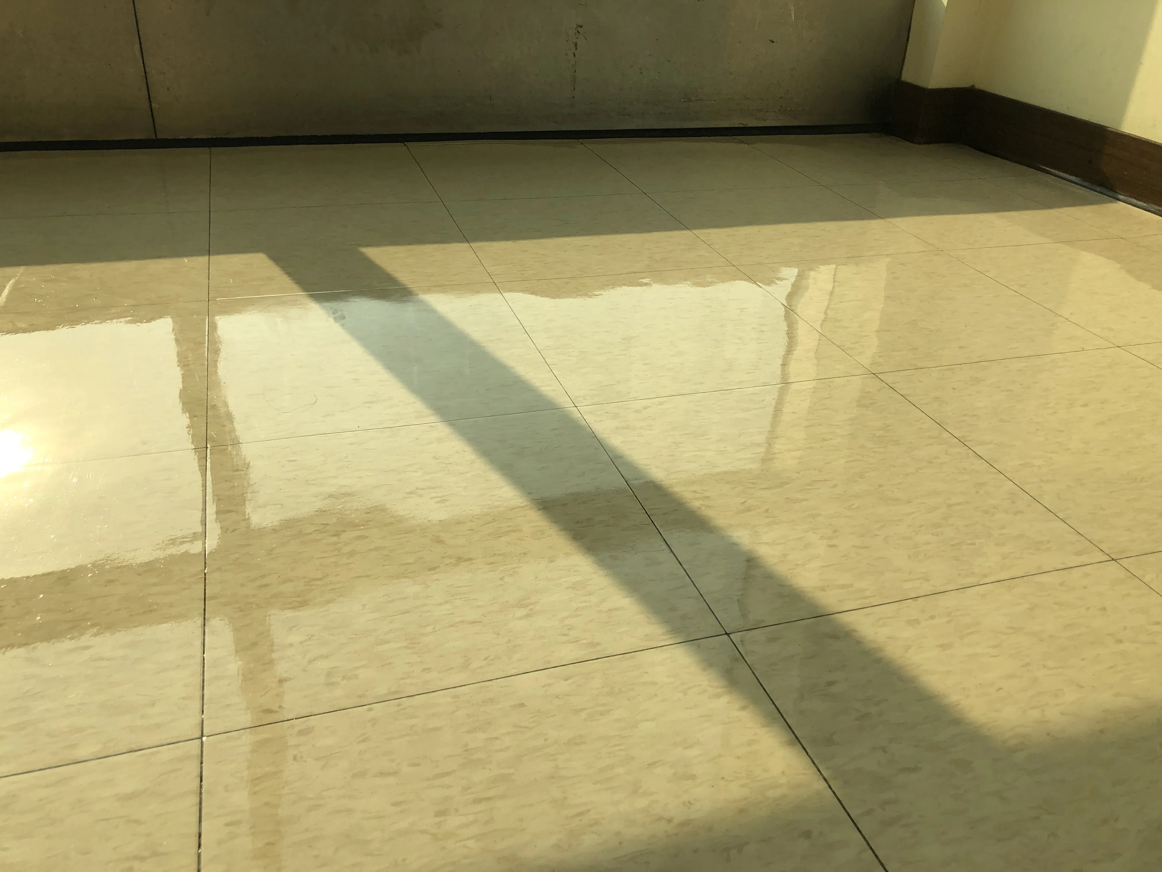 
EZ Shine PVC/Vinyl Floor Finish Floor Polish 