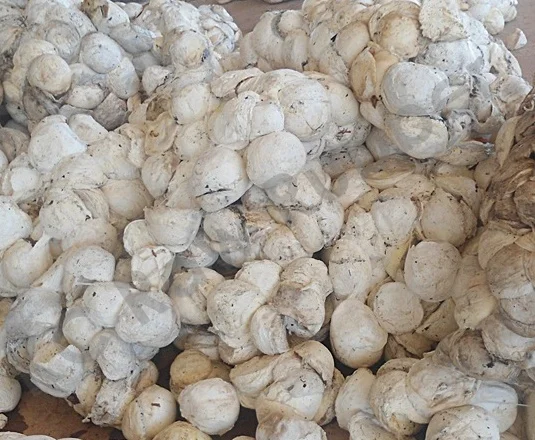 
HIGH QUALITY NATURAL RUBBER CUP LUMPS WITH 62-72 % drc 