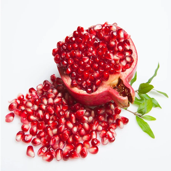 
Jumbo Bold Pomegranate 