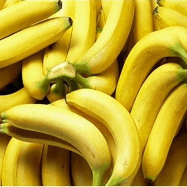 
the best import banana price in indonesia origin vietnam 