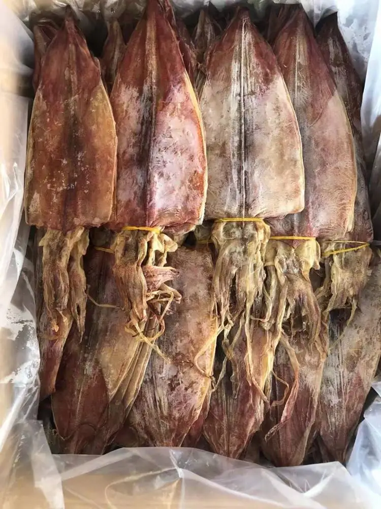 dried squid / cuttlefish