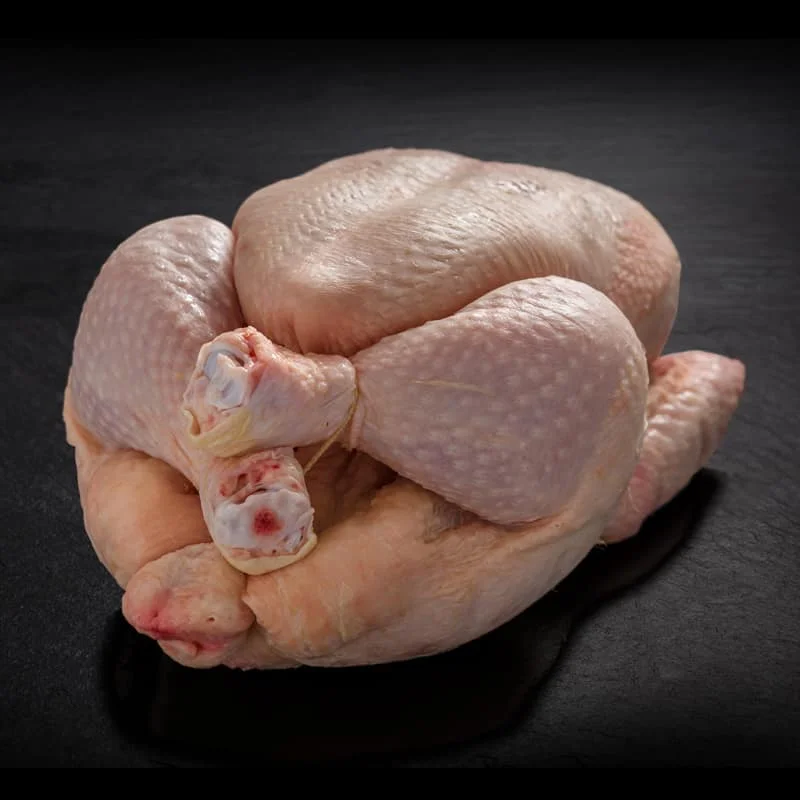 quality grade a frozen chicken feet, whole chicken, legs and