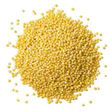 millet1.jpeg