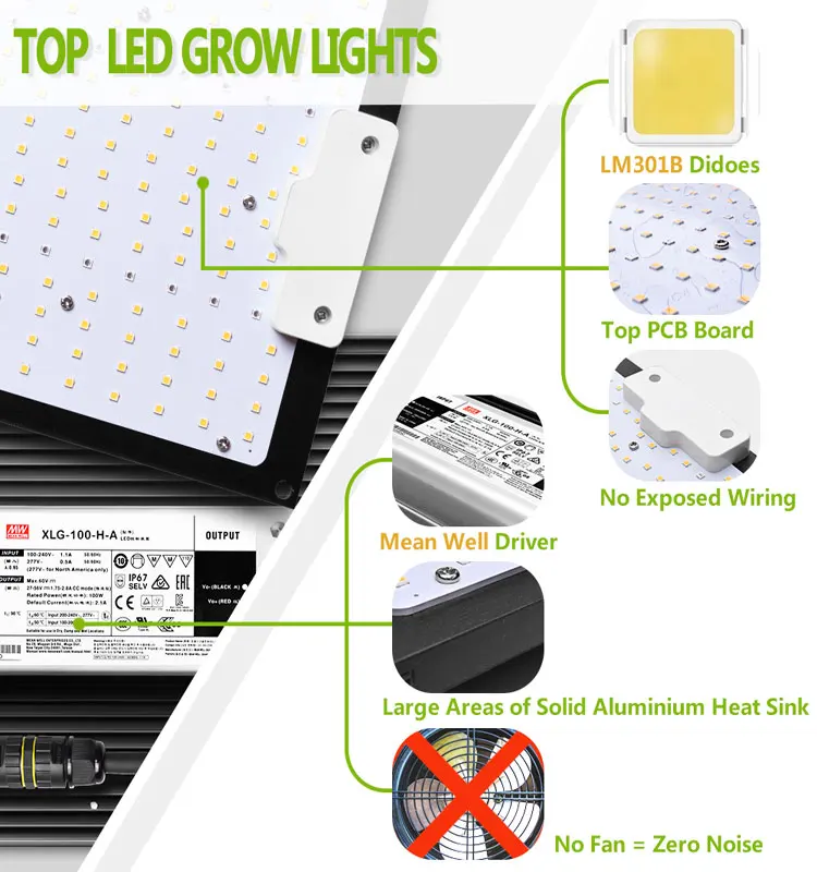 EVQ Samsung Meanwell QBS Board 1000W LED Grow Light for Indoor Garden