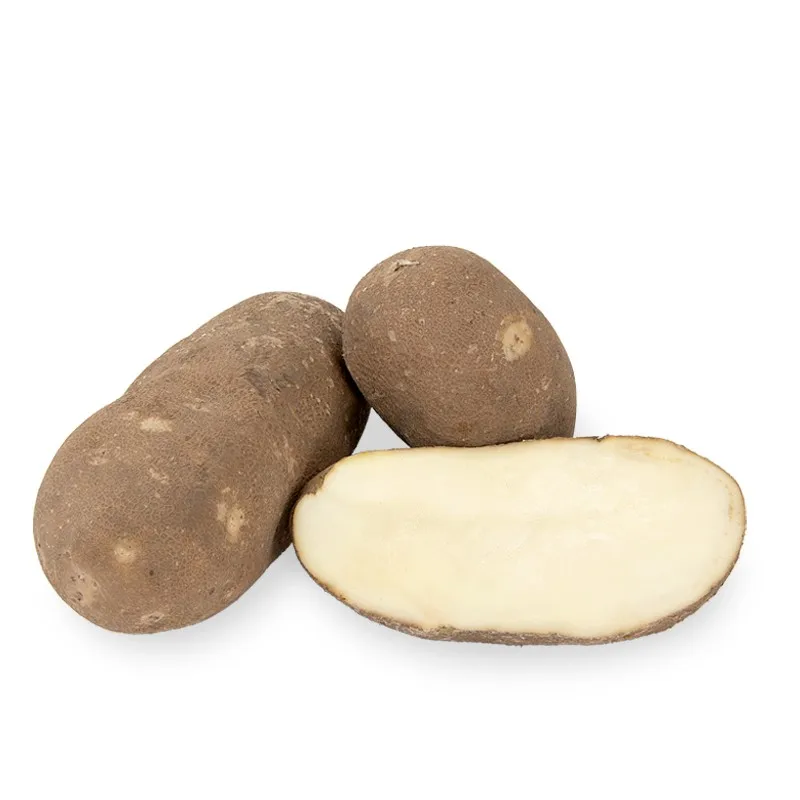 POTATO RUSSET -2.jpg