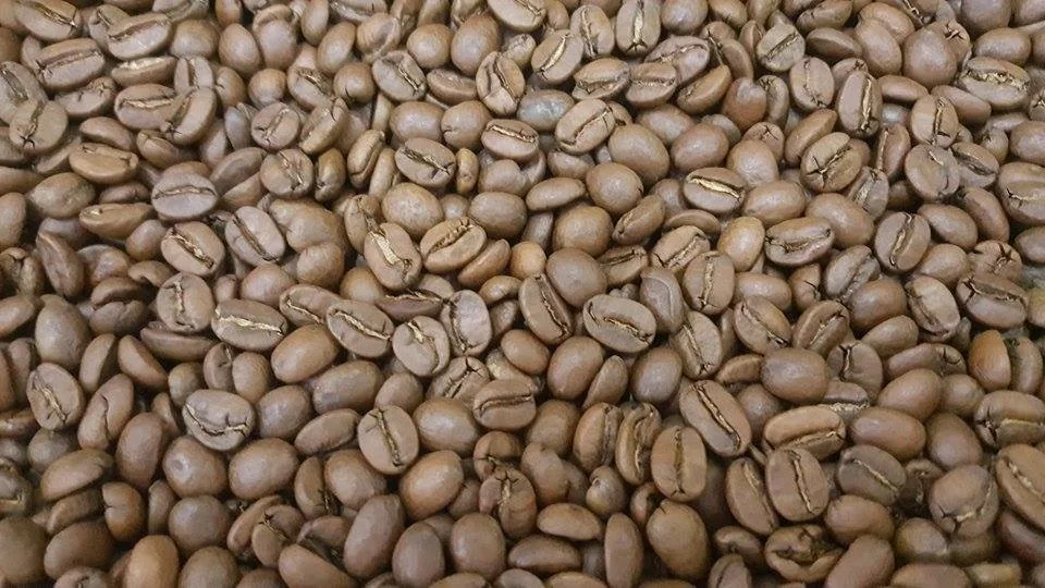 price of arabica coffee beans for sale