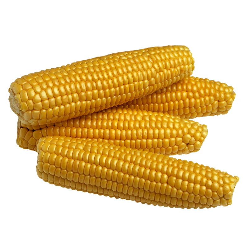 New Crop Yellow Corn From Worldwide Supplier - Buy Yellow Corn,Yellow