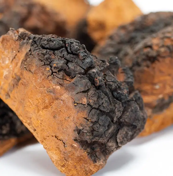 
Natural magic mushrooms dried with good quality 