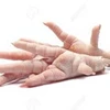 /product-detail/fresh-chicken-paw-a-grade-premium-quality-frozen-chicken-paw-chicken-paw-62013761918.html